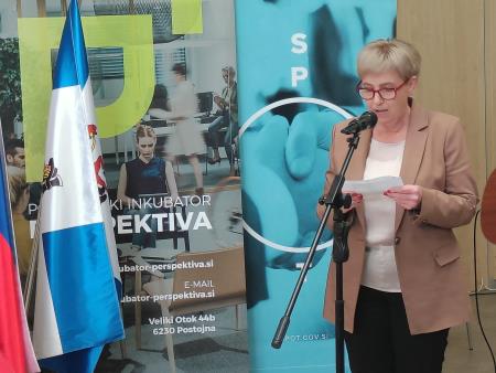 Majda Godina Biznis in Pip